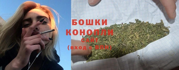 ALPHA PVP Каменка