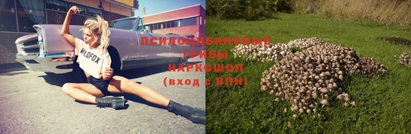героин Каменногорск