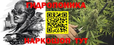a pvp Пушкино
