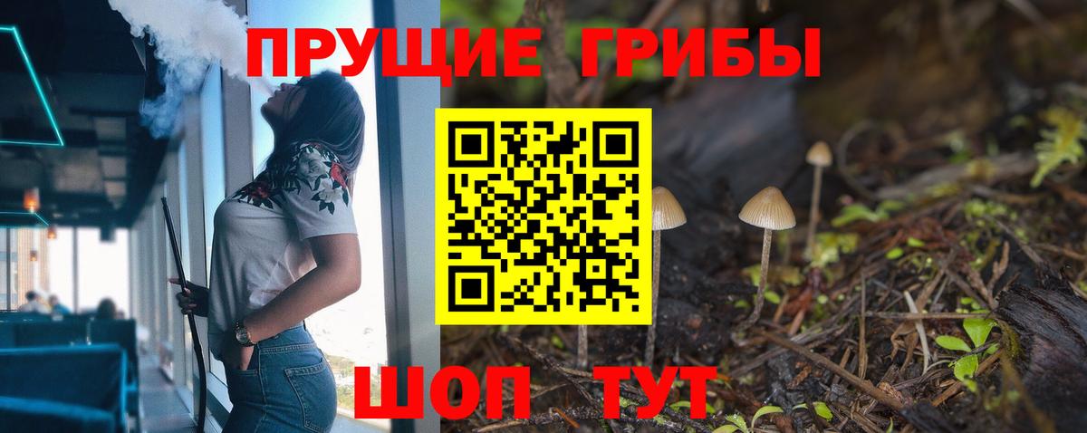 Галлюциногенные грибы Psilocybe  Вход с VPN  Галлюциногенные грибы Magic Shrooms  сколько стоит  Североуральск 